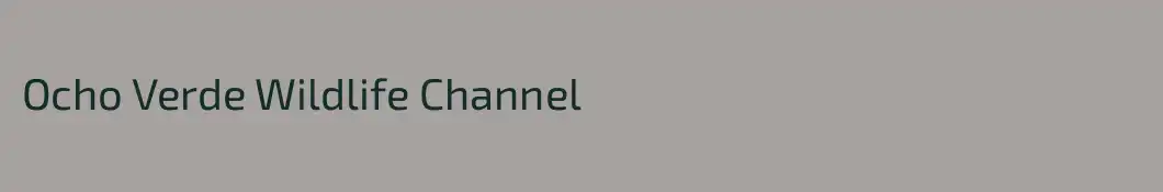 Ocho Verde Wildlife Channel